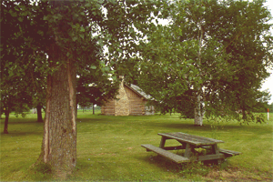 Picnic Tables at Site