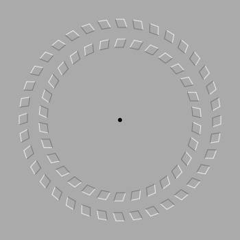Revolving Circles Illusion