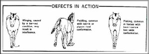 defects in action