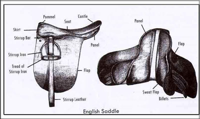 English Saddle