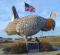 Rothsay Prairie Chicken
