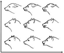 facial expression chart